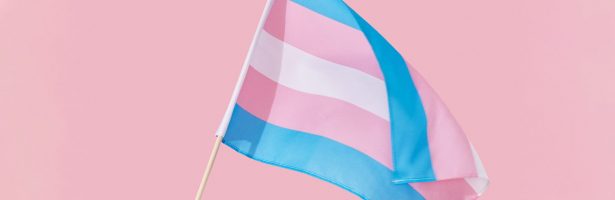 ￼ International Trans* Day of Visibility ￼￼